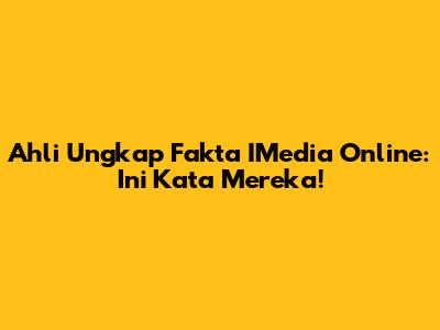 Ahli Ungkap Fakta IMedia Online: Ini Kata Mereka!