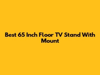 Best 65 Inch Floor TV Stand With Mount