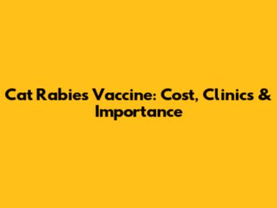 Cat Rabies Vaccine: Cost, Clinics & Importance