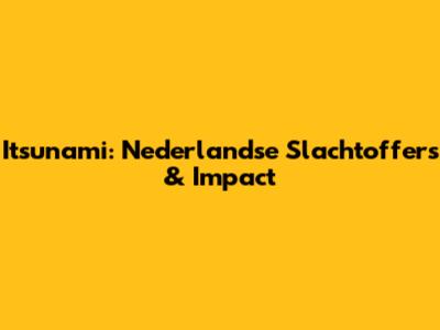 Itsunami: Nederlandse Slachtoffers & Impact