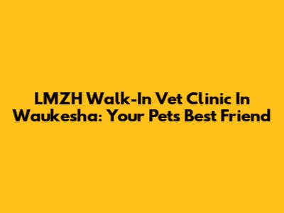 LMZH Walk-In Vet Clinic In Waukesha: Your Pet's Best Friend