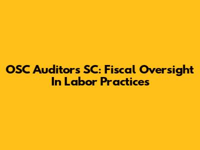 OSC Auditors SC: Fiscal Oversight In Labor Practices