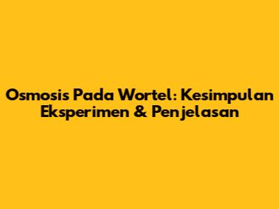 Osmosis Pada Wortel: Kesimpulan Eksperimen & Penjelasan
