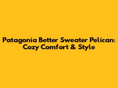 Patagonia Better Sweater Pelican: Cozy Comfort & Style