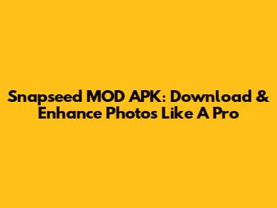 Snapseed MOD APK: Download & Enhance Photos Like A Pro