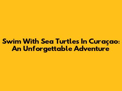 Swim With Sea Turtles In Curaçao: An Unforgettable Adventure