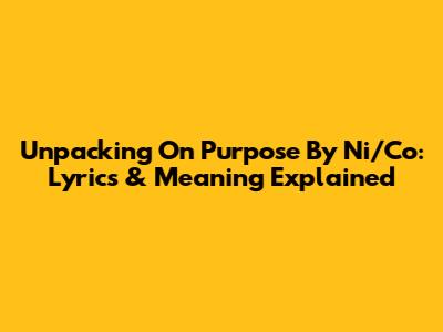 Unpacking 'On Purpose' By Ni/Co: Lyrics & Meaning Explained